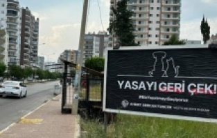 Mezitli Belediye Başkanı Tuncer'den sokak hayvanları için "billboard" kampanyası: "Yasayı Geri Çek"