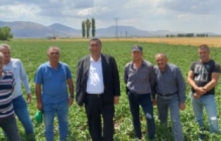 “Tarlada üretici, raftaki ürünü alırken ise tüketici mağdur”