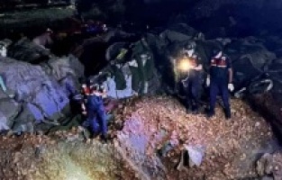 Altındağ Belediyesi'nden köpek katliamı hakkında açıklama