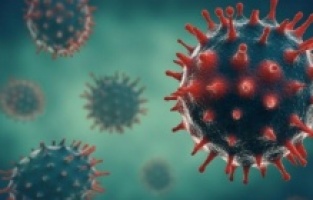 Ankara'da maymun çiçeği karantinası iddiaları hakkında açıklama