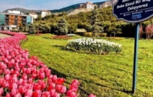 Büyükşehir’den Muğla’ya 59 futbol sahası büyüklüğünde yeşil alan