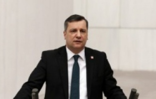 CHP'li Ceylan'dan orman yangınlarına karşı TSK çağrısı