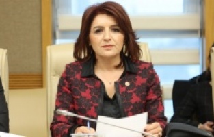 CHP'li Kış: “Yetersiz Uçaklarla Yangınları Söndüremezsiniz”