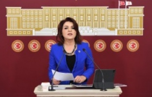 CHP'li Kış:  “AKP’nin Sit alanlarını imara açmasına burada izin vermeyeceğiz!"