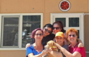 Marmaris Belediyesi Hayvan Rehabilitasyon Merkezi, 7 ayda 157 can dostu sahiplendirdi