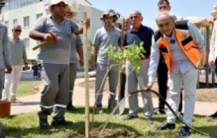 Yenilenen parka ilk ağaç fidanı Kocagöz’den