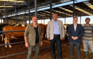 CHP'li Gürer: “Hayvancılıkta süreç doğru yönetilemiyor”