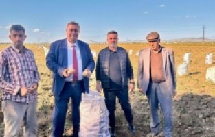 CHP'li Gürer: “Tarlada patatesin yüzüne bakan yok”