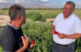 CHP'li Gürer: “Üretici kan ağlıyor, iktidar seyrediyor”