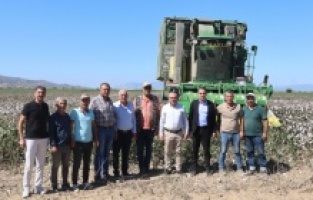 CHP'li Karakoz: "Pamuk üreticisinin mağduriyetini giderin"