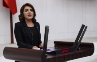 CHP'li Kış, Mersin’in deprem riskine dikkat çekti