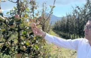 "İktidarın yalnız bıraktığı üreticilerimizi bir de dolu vurdu”