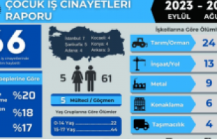 İSİG Meclisi: "Son bir yılda en az 66 çocuk işçi hayatını kaybetti"