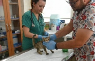 Kepez’in can dostları emin ellerde