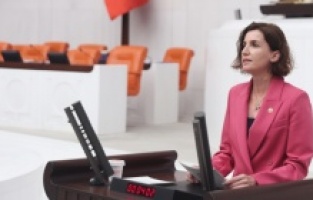 "Bölge halkına rağmen Manavgat Oymapınar'a yüzer GES yapılamaz"