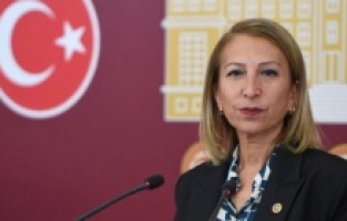 CHP'li vekil, Almanya ile yapılan sığınmacı anlaşmasını Meclis'e taşıdı