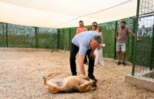 Muratpaşa’dan patili dostlara farkındalık şenliği