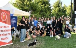 Patili dostlar yeni yuvalarına kavuştu