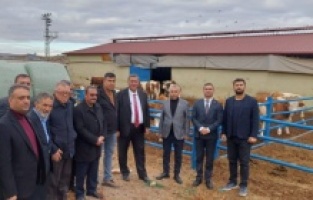 CHP'li Gürer: “Çiftçinin, besicinin psikolojisi bozuk”