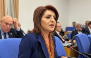 CHP'li Kış, yarım kalan projeleri sordu