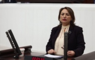 “Cumhurbaşkanı halkın değil şirketin çıkarına göre karar veriyor”