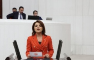 Gülcan Kış: "AKP’nin Yönetim Modeli 2019’da Çöktü"