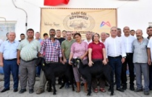 Mersin'in tarım ve hayvancılığı, Büyükşehir'in desteği ile gelişiyor