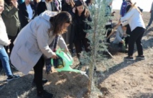 Adana’da öldürülen kadınların anısı hatıra ormanında yaşatılacak