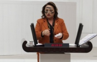 CHP'li Şevkin'den Meclis'te anlamlı eylem