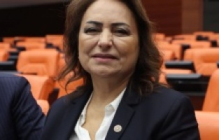 CHP’li Dr. Şevkin: “Suriye’de gelecek kaygısı yaşanıyor”