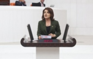 CHP’li Gülcan Kış: “Tasarruf Söylemi Bir Yalandır"