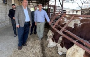 Gürer: “Süt üreticisinin zararına üretim yaptığı itiraf edildi”