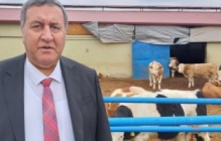 Gürer: “Tarımda Plansızlık, Cebimize Pahalıya Patlıyor”