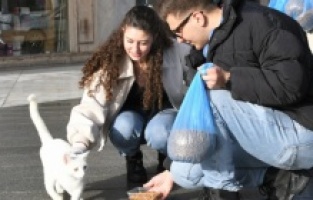 Kuşadası'nda patili can dostlar emin ellerde