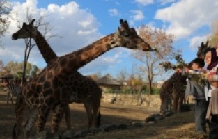 Bursa Büyükşehir Belediyesi’nden öğrencilere karne hediyesi