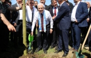 Büyükşehir, ‘Daha yeşil Bursa’ için çalışıyor