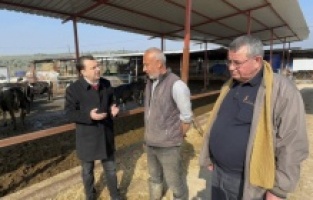 Besiciler CHP'li Başevirgen'e dert yandı