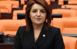 CHP'li Kış: “Depremin Üzerinden İki Yıl Geçti,  Sözler Tutulmadı"