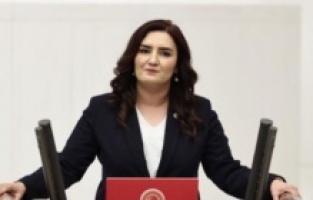 CHP'li Sevda Erdan Kılıç: "Cumhurbaşkanına hakaret suçu kaldırılsın"