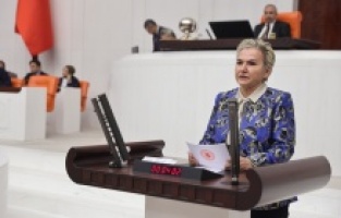 CHP'li Nimet Özdemir, Bakan Yerlikaya’ya Suriyeli Sığınmacıların Geri Dönüş Sürecini Sordu