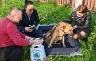 Manisa Büyükşehir’den hayvan sahiplenmeye teşvik kampanyası