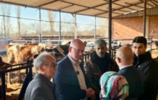 "Süt üreticileri batıyor"