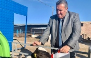 Gürer: “Hayvancılık ithalatla çöküşe sürükleniyor”