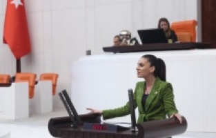 "Muğla’da Narenciye Üreticisi Destek Bekliyor"