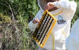 Başkan Akın’ın desteği arıcıları sevindirdi