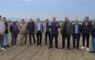 CHP'li Karakoz: "Tarımsal üretimde elektrik fiyatlarını düşürün"