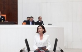 "Orman Yangınları Sadece Ağaçları Değil, Bir Geleceği Yok Ediyor"