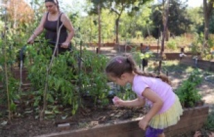 Ataşehir'de “Kent Bostanları” için başvurular başlıyor