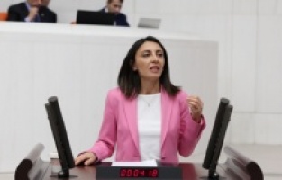 “İnsan Hakları İhlalleri Artıyor, Denetim Mekanizmaları Yok”