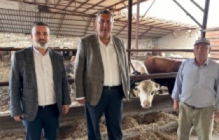 “3 yılda 2,7 milyar dolar hayvan ithalatına gitti”